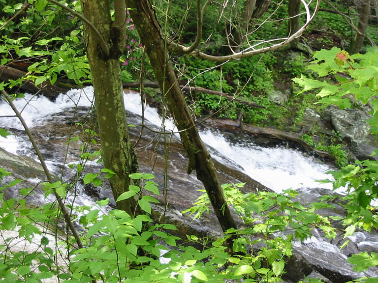 BlueRidgeParkway_IMG_1395