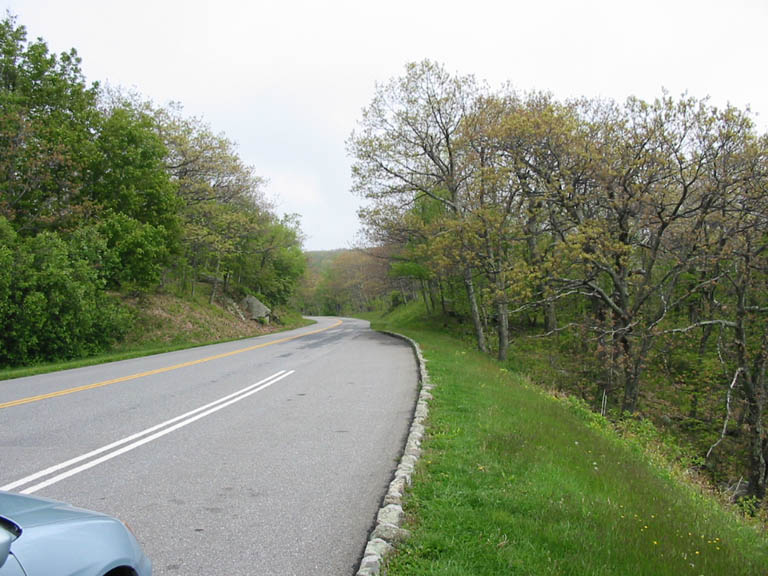 BlueRidgeParkway_IMG_1401