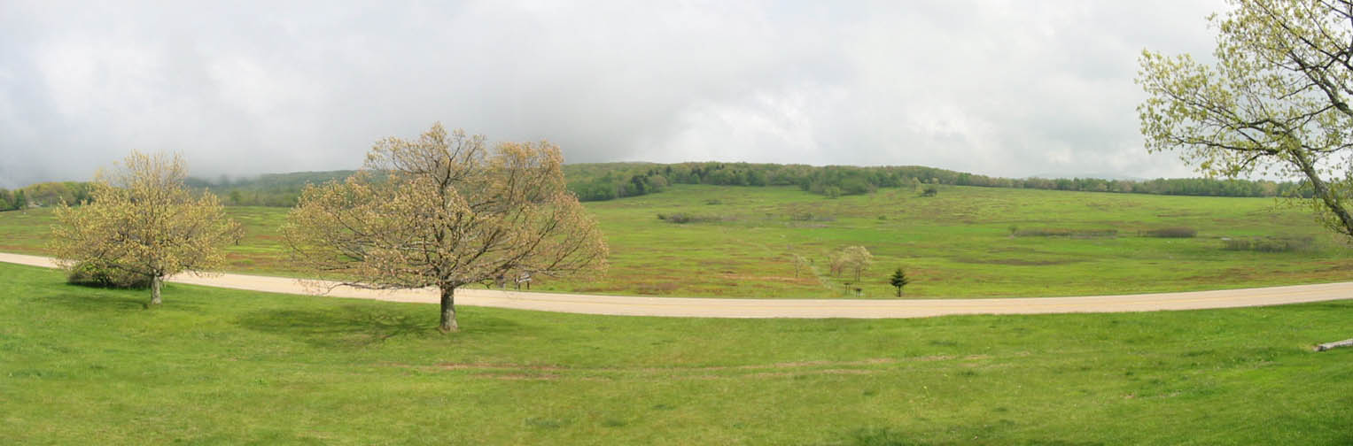 ShenandoahMeadow