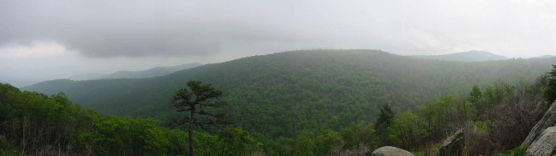 ShenandoahMountains