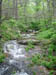 BlueRidgeParkway_IMG_1393